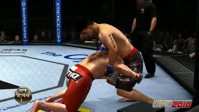 MMA/UFC-Vergleich: Zuschauer