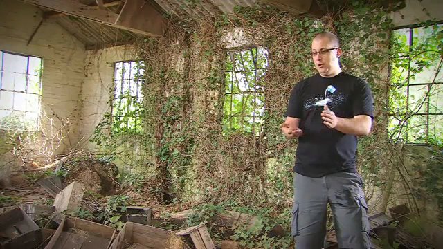 Behind the Game, Pigsy's 10 (DLC)