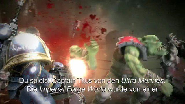 Entwickler-Interview