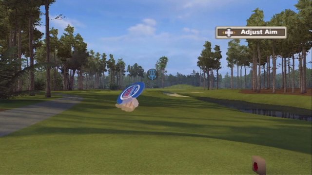 Wii Disc Golf