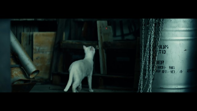 Live-Action-Trailer: Die Katze und der rote Punkt