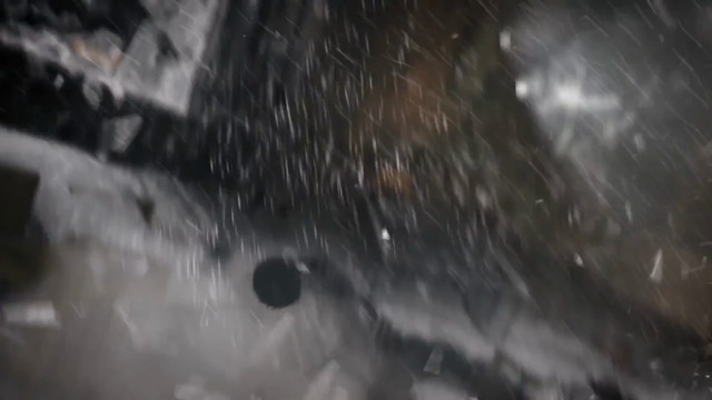 Expansion II: Survival