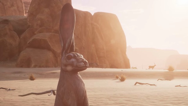 Mounts Announcement Teaser