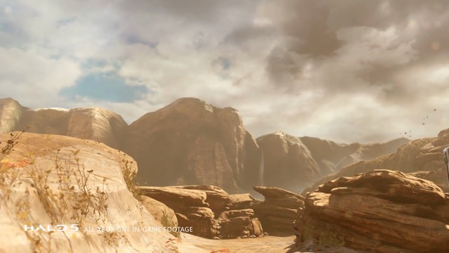 Halo Warthog comes to Forza Horizon 3