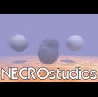 Necro Studios
